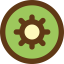 Kiwi icône 64x64