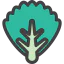 Lettuce icon 64x64
