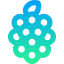 Raspberry ícono 64x64