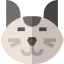 Cat icon 64x64