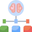 Brain icon 64x64