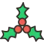 Mistletoe icon 64x64