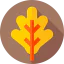 Maple leaf icon 64x64