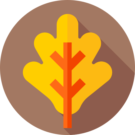 Maple leaf icon