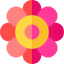 Flower icon 64x64