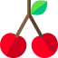 Cherry icon 64x64