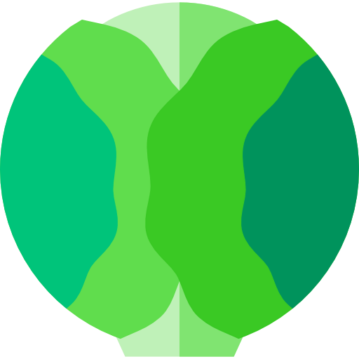 Cabbage icon