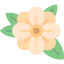Flower icon 64x64
