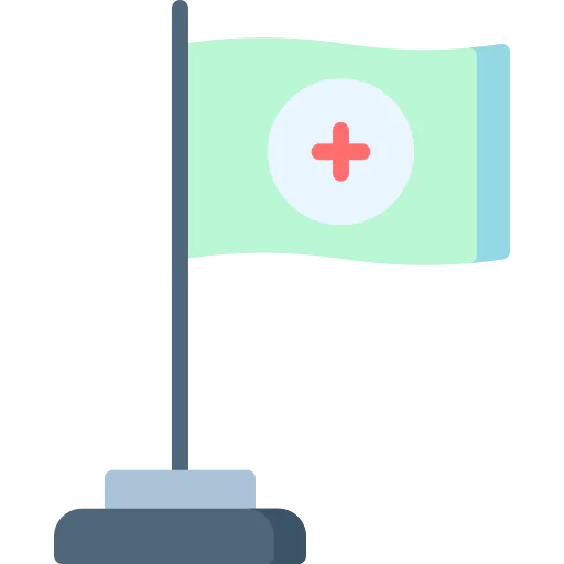 Flag icon