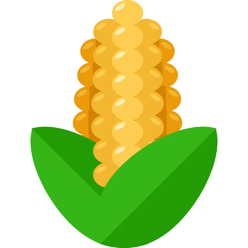 Corn icon