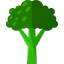Broccoli icon 64x64