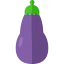 Eggplant icon 64x64