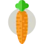Carrot icon 64x64