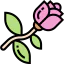 Blossom ícone 64x64