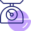 Scale icon 64x64