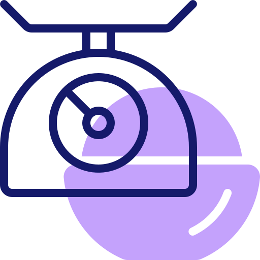 Scale icon