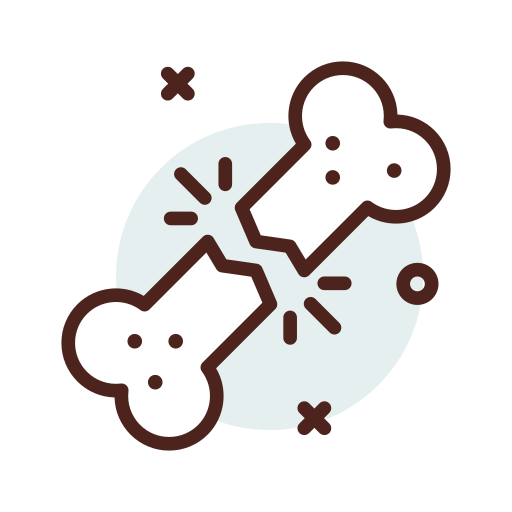 Fracture icon