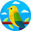 Canary ícono 64x64