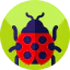 Ladybug ícono 64x64