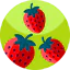Strawberry ícono 64x64