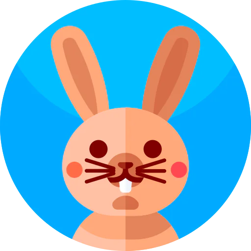 Rabbit icon