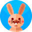 Rabbit ícono 64x64