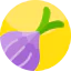 Onion ícono 64x64