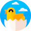 Chick ícono 64x64