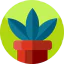 Plant ícono 64x64