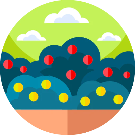 Raspberry ícono
