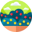 Raspberry ícono 64x64