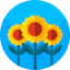 Sunflower ícono 64x64