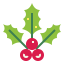 Holly icon 64x64
