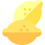 Lemon Ikona 64x64