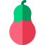 Aubergine Ikona 64x64