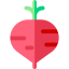 Beet Ikona 64x64
