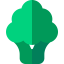 Broccoli Ikona 64x64