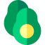 Avocado Ikona 64x64