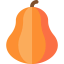 Pumpkin Ikona 64x64