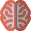 Brain icon 64x64