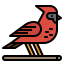 Cardinal icône 64x64