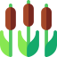 Reeds icon 64x64