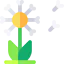 Dandelion icon 64x64