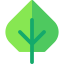 Leaf icon 64x64