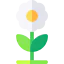 Flower icon 64x64