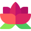 Lotus icon 64x64