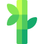 Bamboo icon 64x64