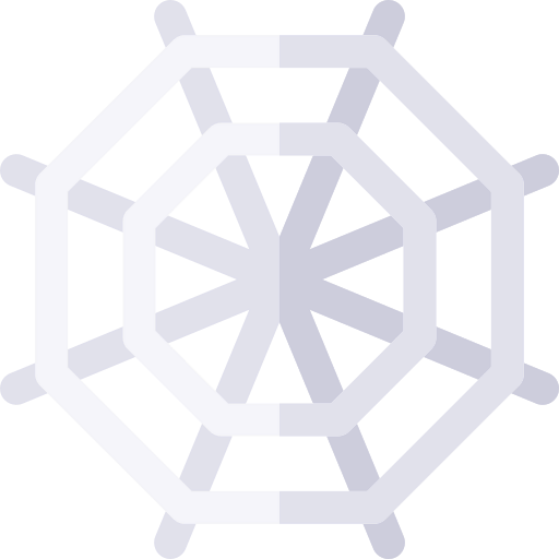 Spider web icon