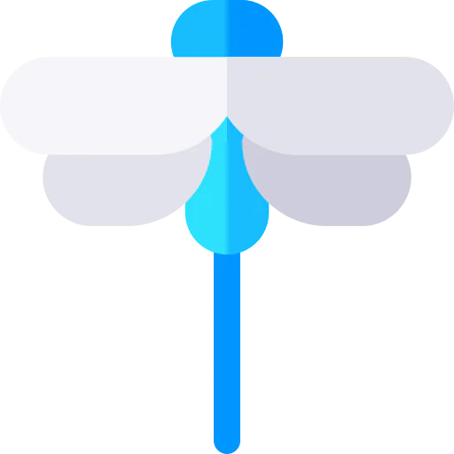 Dragonfly icon