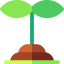 Sprout icon 64x64